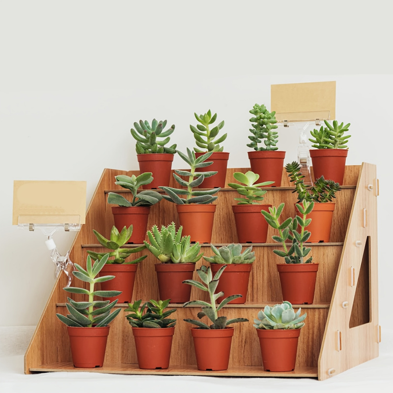 Expositor de madera, stand par - Pop Display Shelf reseña y precio
